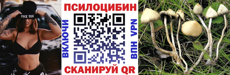 ОМГ ОМГ ONION Можга Галлюциногенные грибы Magic Shrooms