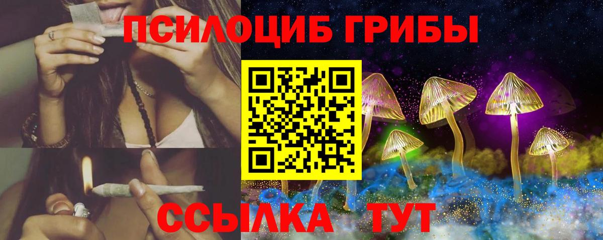 Галлюциногенные грибы мицелий  Галлюциногенные грибы прущие грибы  Вход с VPN  Можга 