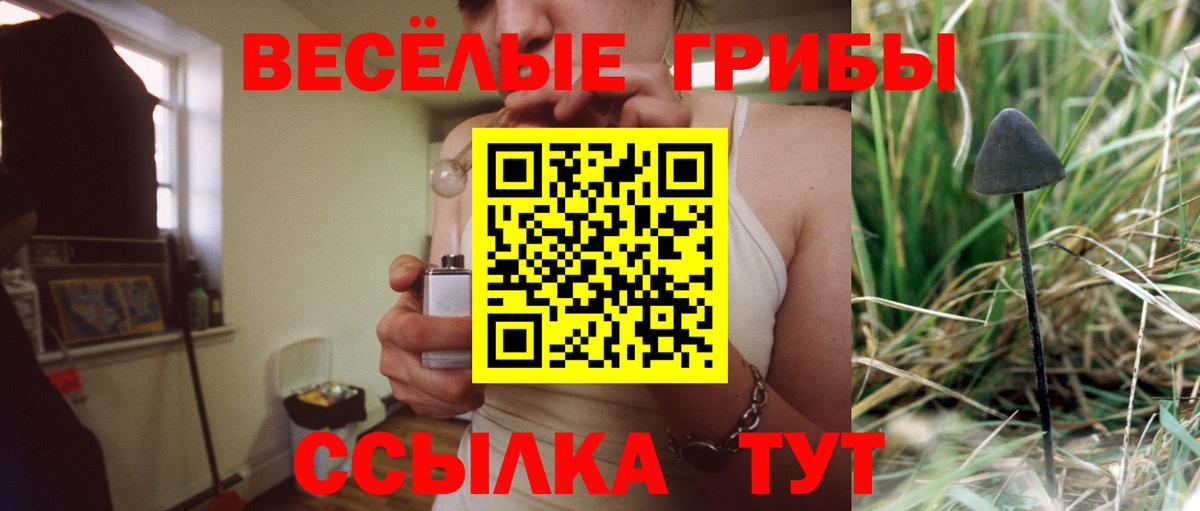 Псилоцибиновые грибы Psilocybine cubensis Можга