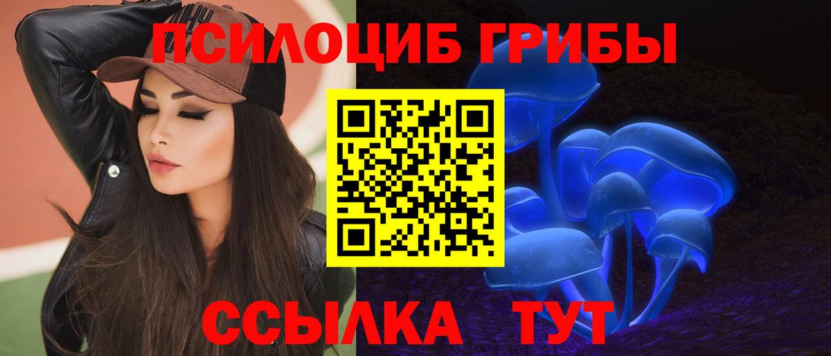 Псилоцибиновые грибы Psilocybine cubensis Можга